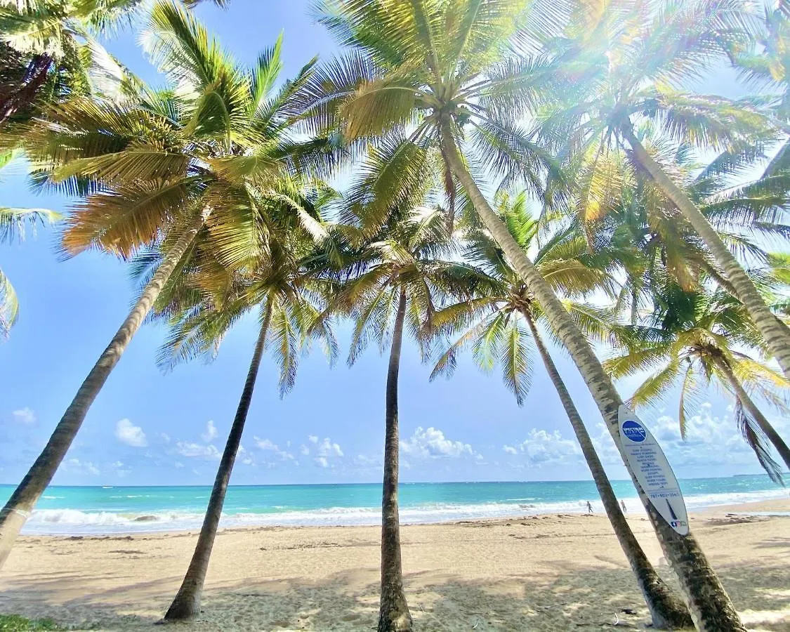 Kasa Galicia Beachfront Studio Pool Beach Access San Juan Puerto Rico