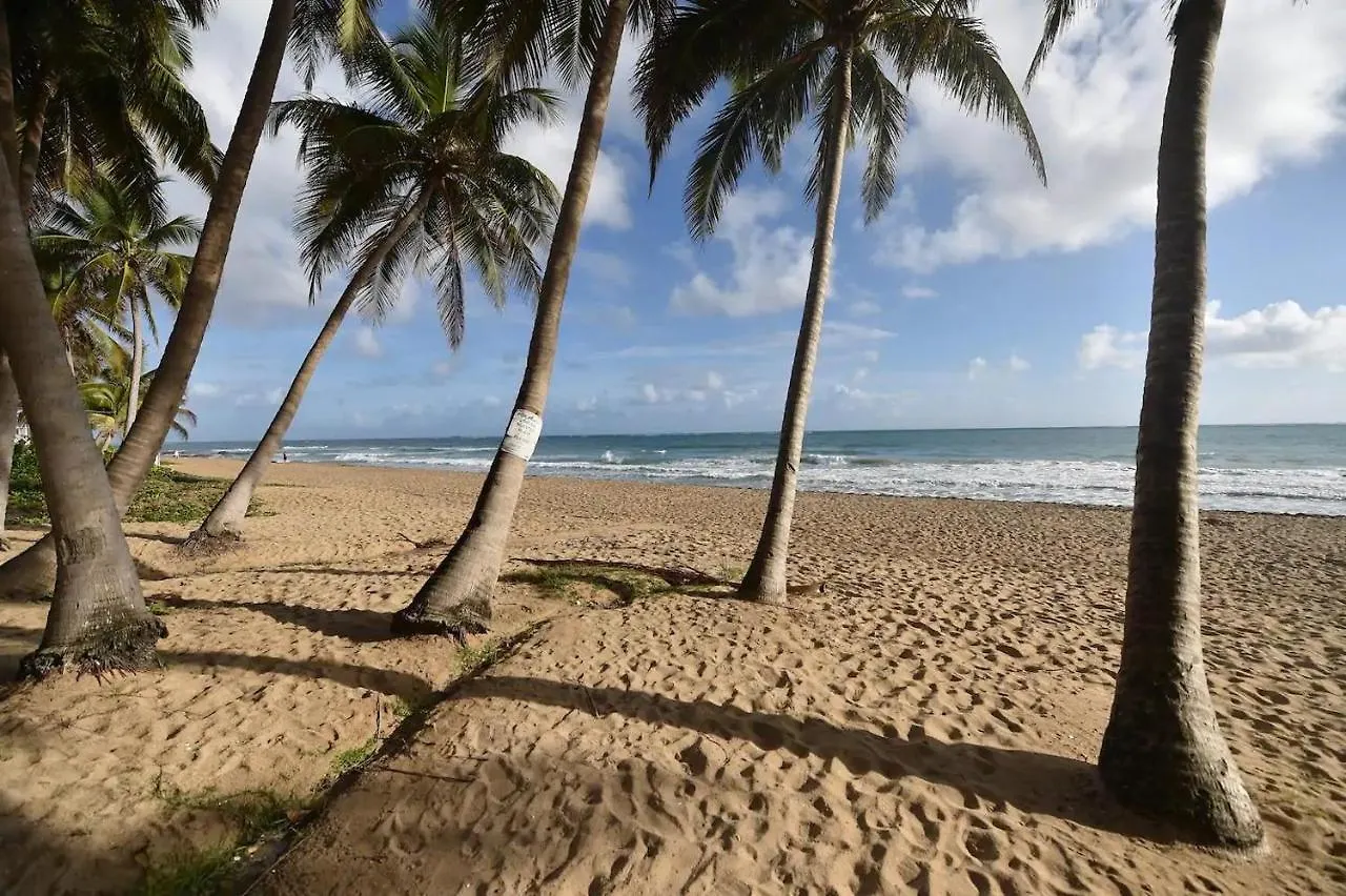 Kasa Galicia Beachfront Studio Pool Beach Access San Juan Apartment